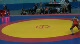 74 kg consolation