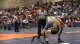 95lbs Daeton Langford FL- vs. Nathan Gonzalez WA-