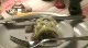 Danish Tradition And The Pedersens