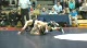 Dirty Flo war games scramble