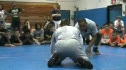 Hector Wrestling With Terry