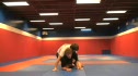 Leg Defense