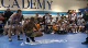145lbs AS Final - Sunkist Kids vs. Collins Hill