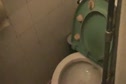 Zeb's Trials with the Toilet