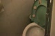 Zeb's Trials with the Toilet