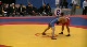 84 kg 