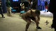 Miller prepping for finals