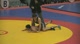 Official Gets Jacked In The Face