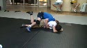 Pump Step Duck 