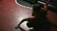 Rhino Wrestling Club High School Practice