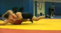 Freestyle World Team Simulatiion Highlights