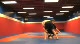 Technique Wave