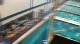 JoeFlo's 10 Meter Challenge 