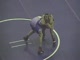 G. Hahn140EHSState