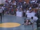 EHS140Districts2