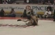135 lbs Shober SV vs Steinberg CC