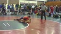 state duals brown vs poulton