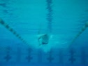 Underwater free