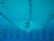 Underwater free