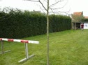 steeple in yard