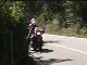 Falmouth Road Race Full