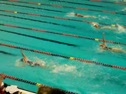 medly relay (f).mov
