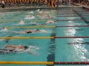 100 Back Champ Heat-Black Lane 4