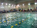 100 Backstroke Heat 2