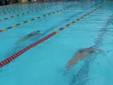 100 Br-Gusewelle,Potter
