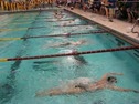 100 Breast Champ Heat-Nelson, Potter,Gusewelle