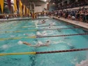 100 Fly Champ Heat-Caron, King