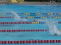 100 Fly-Knote