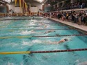 100 Free Consol Heat-Roness(5)