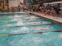 100 Free-Tauber Lane 6, McCollam Lane 7