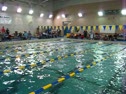 100 IM Heat 2