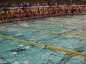 200 Back-Pawlenty Lane 4