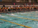 200 Free-Baalman Lane 4, Roness Lane 3