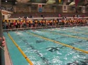 200 Free-Doar Lane 1
