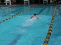200 IM-King