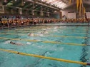 200 Med Rel Heat 2 of 4-Dragons(6)