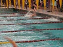 500 Free Champ Heat-Doar Lane 6, Belden Lane 7