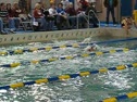 500 Freestyle - Cassie Jensen(Partial)