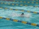 50 Breast-Gusewelle