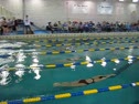 50 Butterfly Heat 1