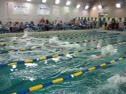 50 Butterfly Heat 2