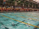 Champ Heat 200 Breast-Gusewelle(4),King(5),Nelson(6)