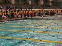 Consol Heat 200 Fly-Knote(7),Harris(8)