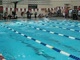 100 Butterfly Prelims (King)