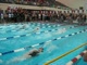 200 Medley Relay Finals