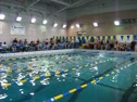 100 Butterfly Heat 1